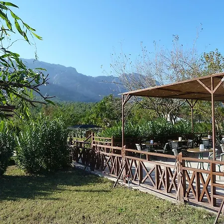 Resort Garden Bergamot